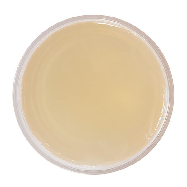 PCA_Products_Blemish_Control_Bar_Swatch